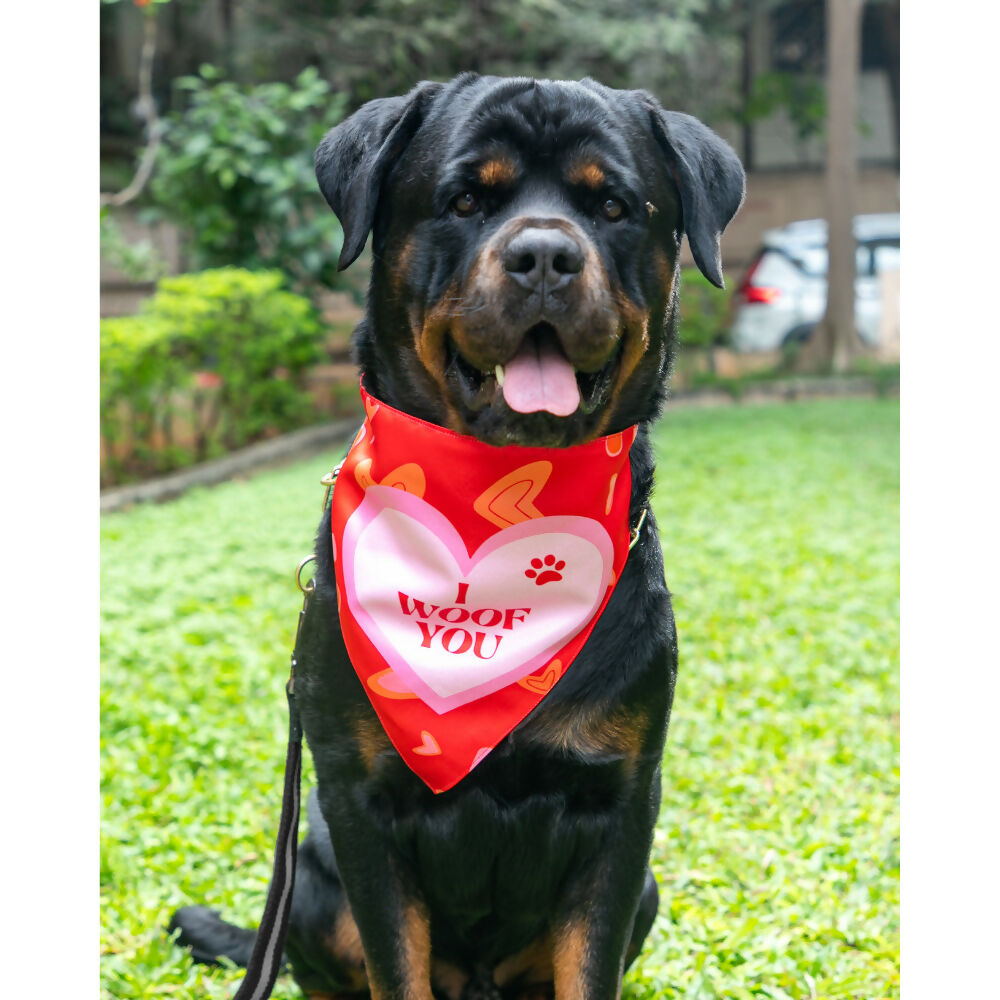 Waggety Dog Bandana - I Woof You, Soft Fabric, Stylish Pet Accessory for Dogs - Red