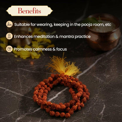 Pujashree Rudraksh Mala Small 8mm  Sacred Prayer Beads for Meditation, Chanting & Spiritual Wear