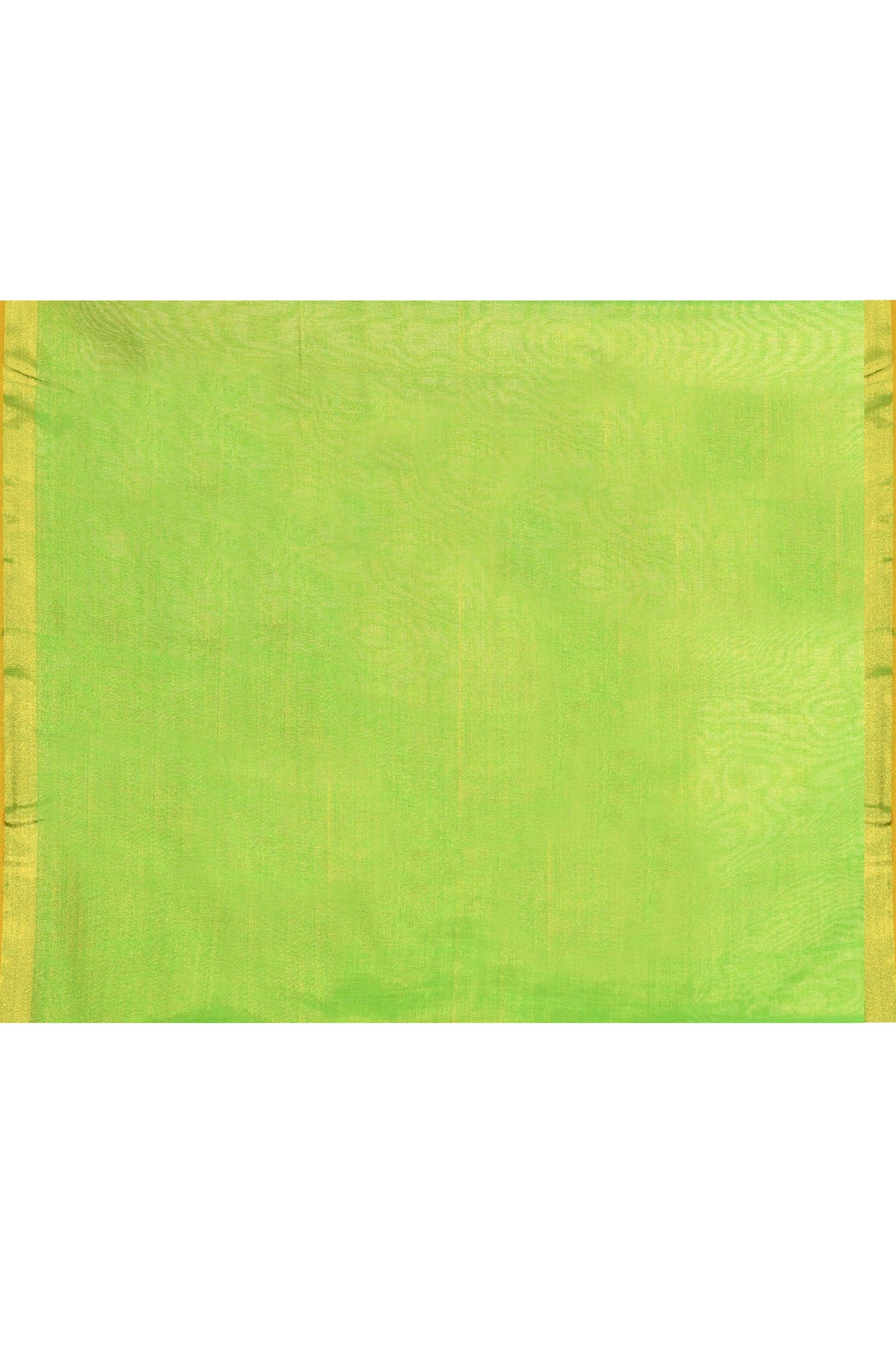 Piyari Fashion Women's Green Embellished Tissue Jamdani Saree