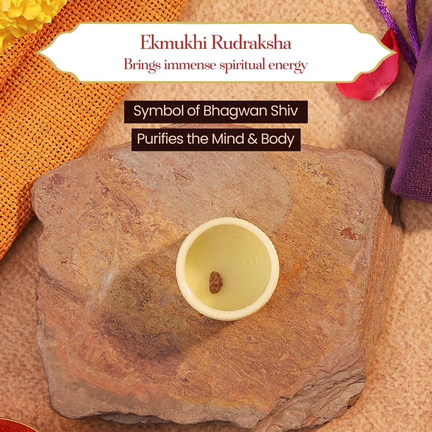 Pujashree Ek Mukhi Rudraksh  Sacred One Mukhi Rudraksha for Lord Shiva Blessings, Peace & Spiritual Growth