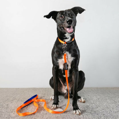 Waggety Dog Leash - Durable Orange Polyester, Length - 5Ft, Comfortable Grip, Stylish Pet Leash for Dogs