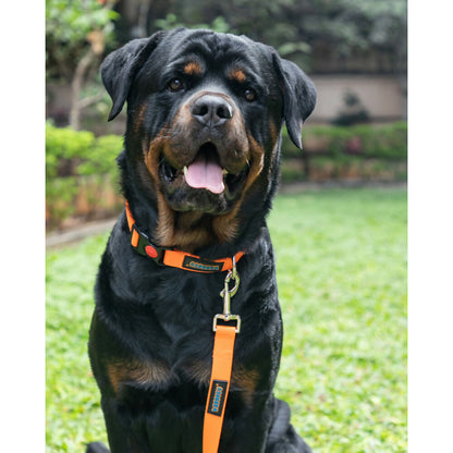 Waggety Dog Leash - Durable Orange Polyester, Length - 5Ft, Comfortable Grip, Stylish Pet Leash for Dogs
