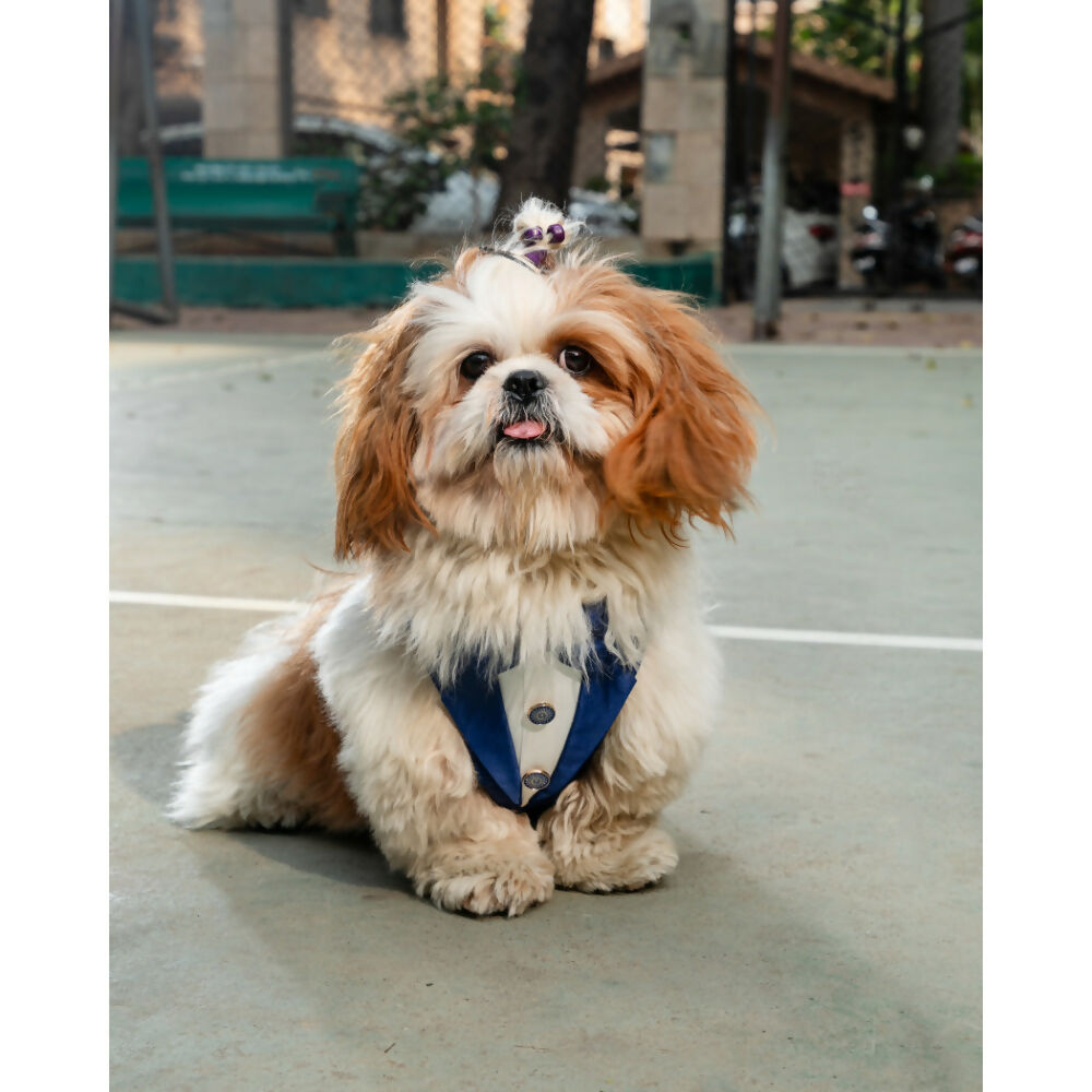 Waggety Tuxedo Dog Harness - Stylish Blue & White Design, Adjustable Fit, Durable Fabric, Elegant Pet Harness for Dogs
