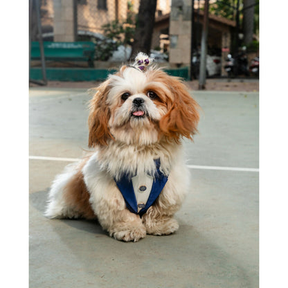 Waggety Tuxedo Dog Harness - Stylish Blue & White Design, Adjustable Fit, Durable Fabric, Elegant Pet Harness for Dogs