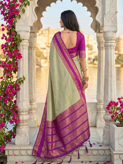 Shree Shyam Fashion Chiku Silk Blend Saree